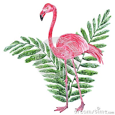 Tropical collage with leaves and pink flamingo Cartoon Illustration