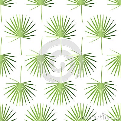 Green palm leaves endless pattern isolated on white background. Seamless illustration with tropical element. Vector Illustration