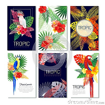 Tropical Design Cards Collection Vector Illustration