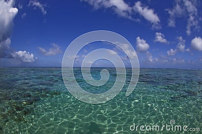 Tropical Dream Beach Paradise Stock Photo