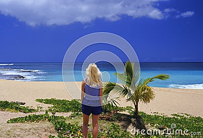 Tropical Dreams Stock Photo