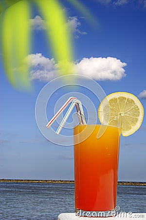 Tropical Drink Stock Photo