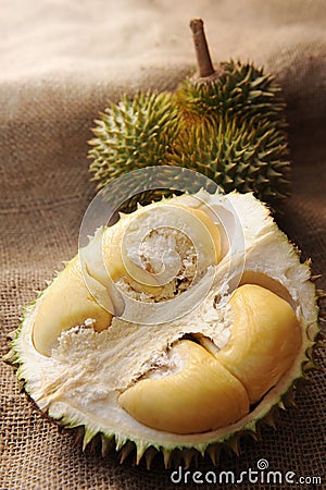 Tropical Durian fruit Stock Photo