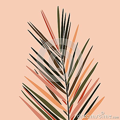 Tropical Dypsis leaves in a minimalist trendy style. Silhouette of a plant in a abstract style. Vector illustration Vector Illustration