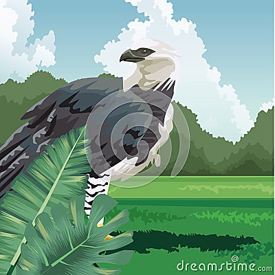 Tropical eagle monstera leaves fauna and flora landscape Vector Illustration