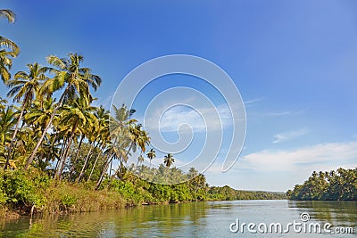 Tropical evening landscape with palm tree. Stock Photo