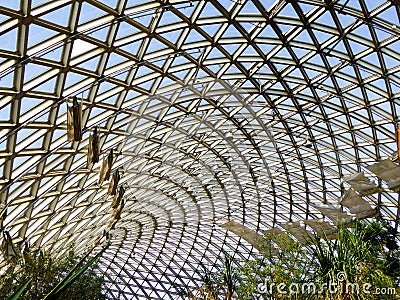 Tropical Exhibition Greenhouse roof Stock Photo
