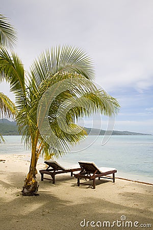 Tropical exotic beach Stock Photo