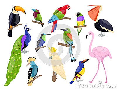 Tropical exotic birds. Bright color parrots, polynesian fauna, pink flamingo, toucan and peacock sitting on branch Vector Illustration