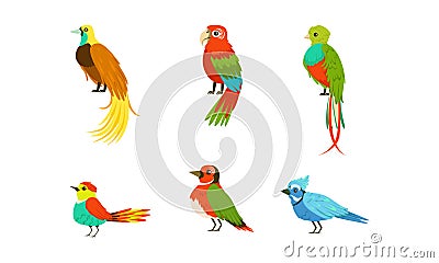 Tropical Exotic Birds Collection, Beautiful Bright Parrots Cartoon Vector Illustration Vector Illustration