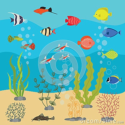 Tropical exotic fishes in aquarium or ocean underwater. Vector illustration of fish tank with colorful sea fishes Vector Illustration