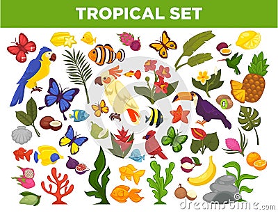 Tropical and exotic fruits, birds, fishes and plants vector set Vector Illustration