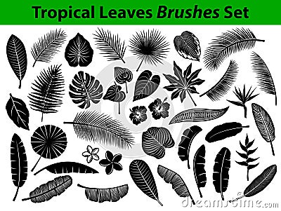 Tropical Exotic Leaves Silhouette Collection with some flowers in black color Vector Illustration