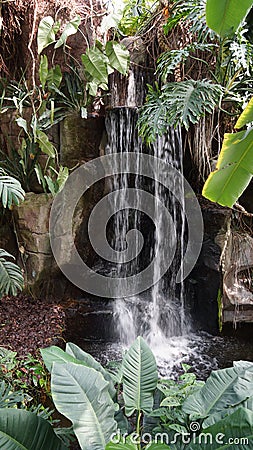 Tropical exotic waterfall with plants around Stock Photo