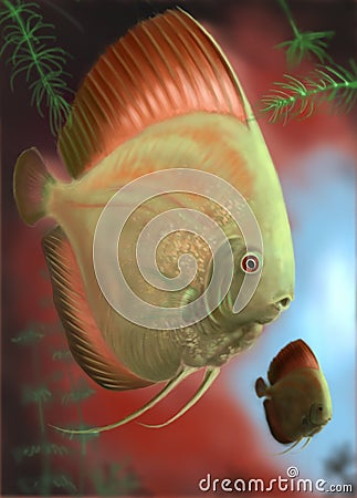 Tropical Fish Stock Photo