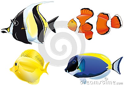 Tropical fish Stock Photo