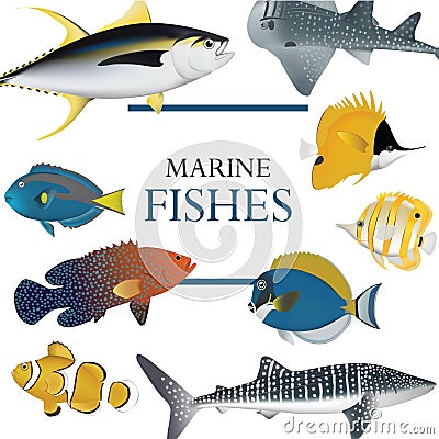 Tropical fish collection marine Vector Illustration