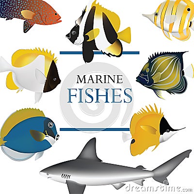 Tropical fish collection marine Vector Illustration