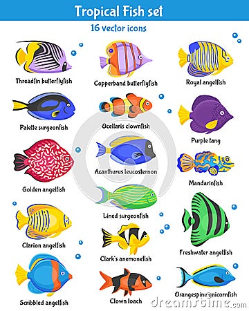 Tropical Fish Icons Set Vector Illustration