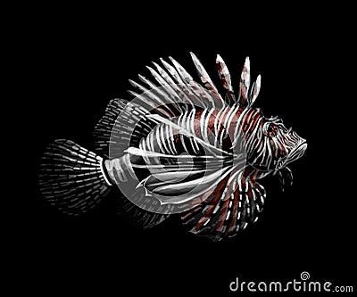 Tropical fish. Portrait of a lionfish on a black background Vector Illustration