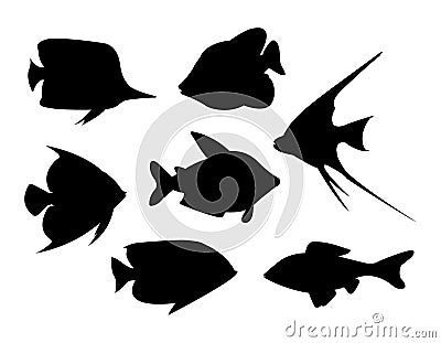 Tropical fish vector Vector Illustration
