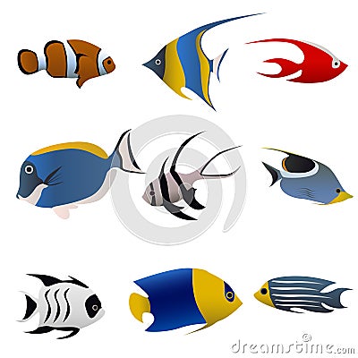 Tropical fish vector Vector Illustration