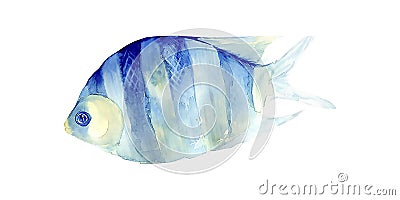 Tropical fish on a white background.Watercolor painting. Stock Photo