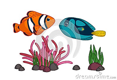 Tropical fishes with anemone. Blue surgeonfish and clownfish swimming together. Vector illustration Vector Illustration