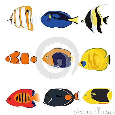 Tropical Fishes Set Vector Illustration