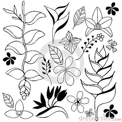 Tropical flower hand drawn sketch Vector Illustration