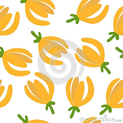 Tropical flower - ylang-ylang Cananga. Seamless pattern. Hand drawn element for print and web. Vector illustration Vector Illustration