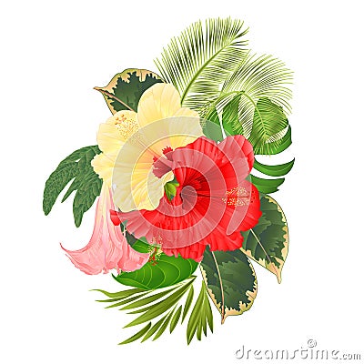 Tropical flowers floral arrangement, with red and yellow hibiscus and Brugmansia palm,philodendron vintage vector illustration Vector Illustration