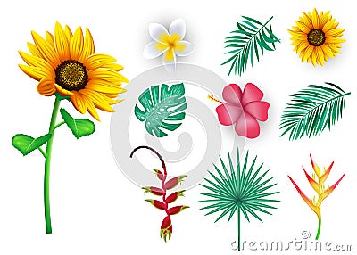 Tropical Flowers and Leaves, 3D Realistic Floral Vector Mesh Elements for Summer Season Vector Illustration