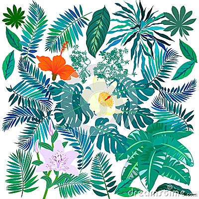 Tropical flowers and plants set Vector Illustration