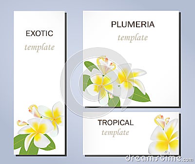 Tropical flowers of plumeria on templates for business cards and other presentations Vector Illustration