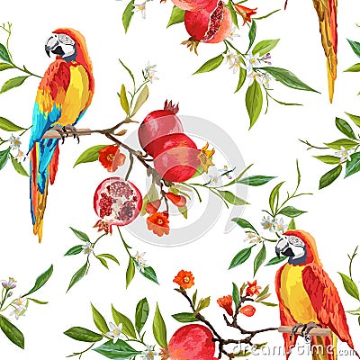 Tropical Flowers, Pomegranates and Parrot Birds Background Vector Illustration