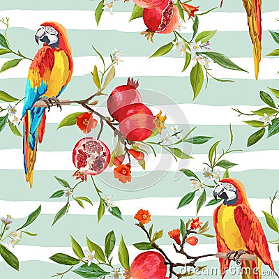 Tropical Flowers, Pomegranates and Parrot Birds Background Vector Illustration