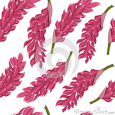 Tropical flowers seamless pattern. Ginger root image. Fabric print. Exotic textile design. Pink floral plant in Vector Illustration