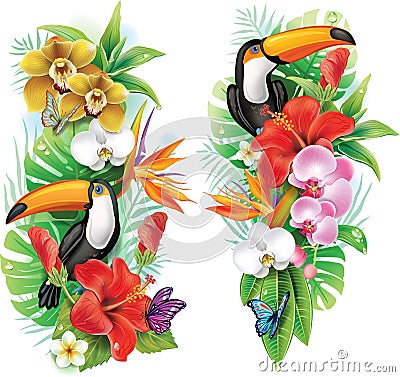 Tropical flowers and toucan Vector Illustration