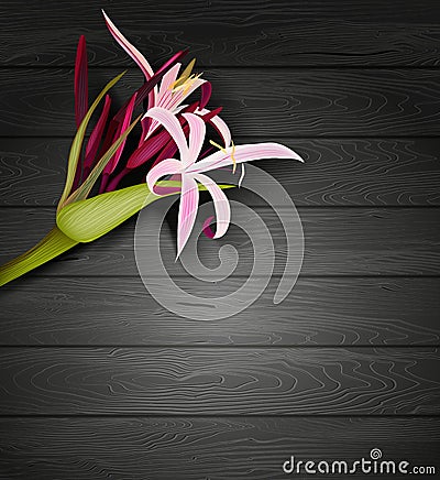 Tropical flowers on a wooden background Cartoon Illustration