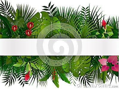 Tropical foliage. Floral design background Vector Illustration