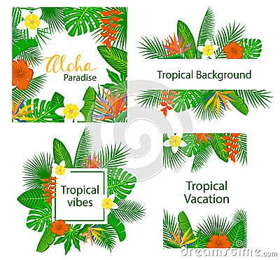 Tropical foliage plants leaves flowers frame border arrangemnets backgrounds Vector Illustration