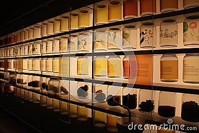 Tropical food ingredients displayed at Singapore National Museum Editorial Stock Photo