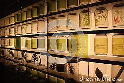 Tropical food ingredients displayed at Singapore National Museum Editorial Stock Photo