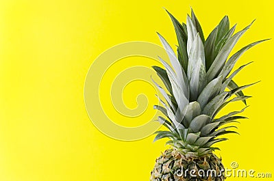 Tropical food,pineapple with green leaves on yellow background Stock Photo