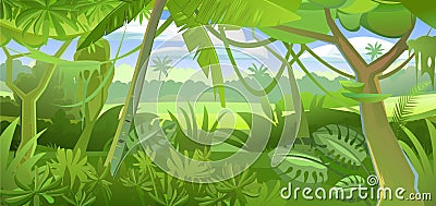 Tropical forest background. Dense thickets. View from the forest. Southern Rural Scenery. Illustration in cartoon style Vector Illustration