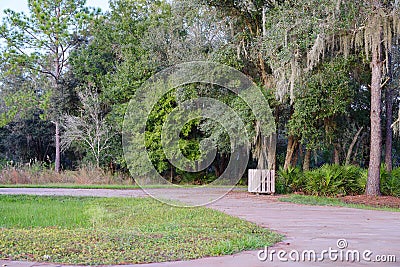 Tropical forest and park Stock Photo