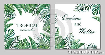 Tropical design and decor frames on white background. Stock Photo
