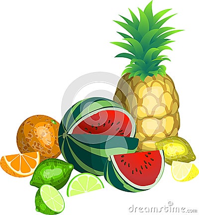 Tropical Fruit Vector Illustration