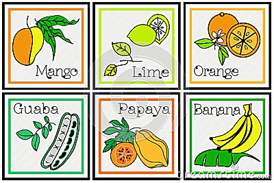 Tropical Fruit Descriptive Set Vector Illustration